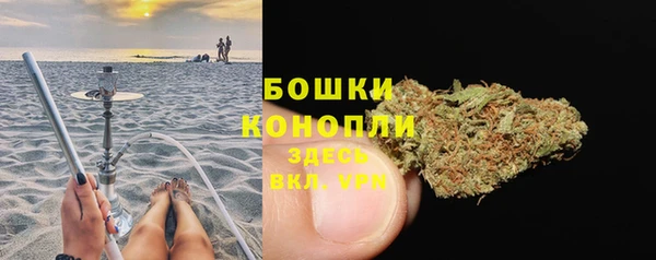 гидра Бородино