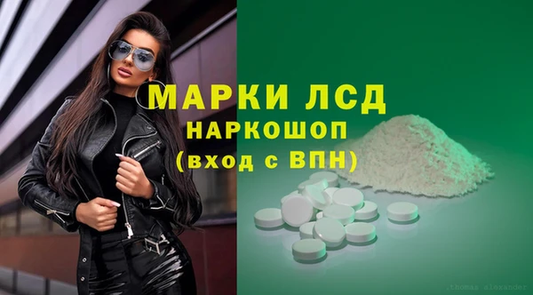гидра Бородино