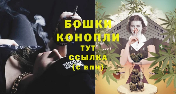 ПСИЛОЦИБИНОВЫЕ ГРИБЫ Бронницы